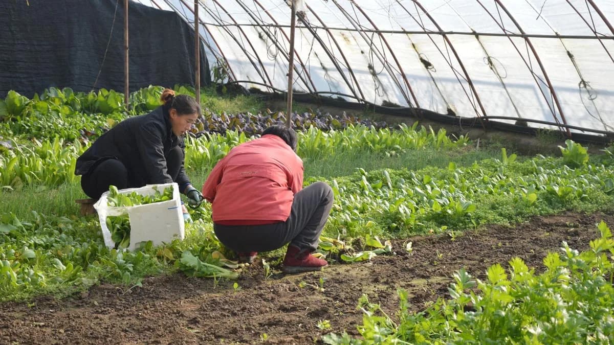 A ONU premia jovens argentinos que buscam transformar a cadeia de preços dos alimentos