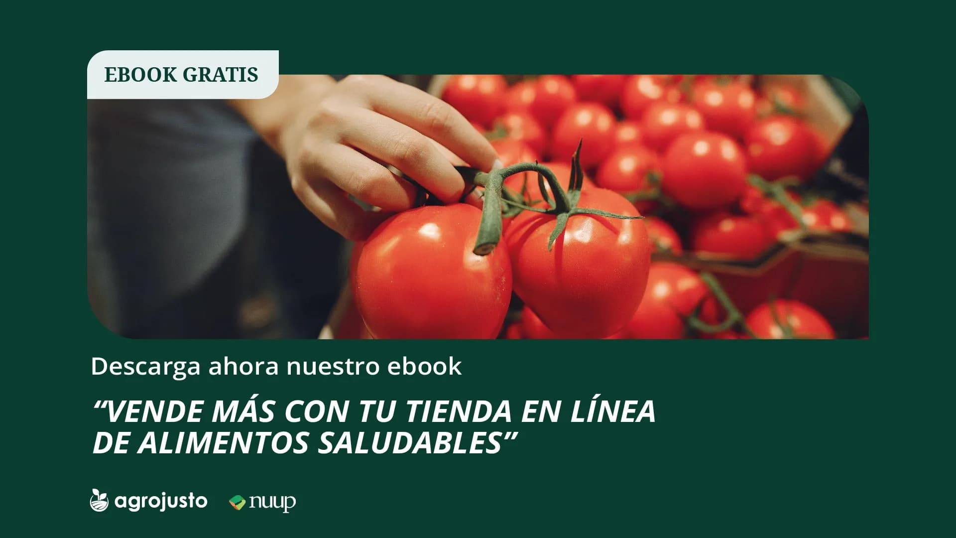 Vende mas con tu tienda en linea de alimentos saludables