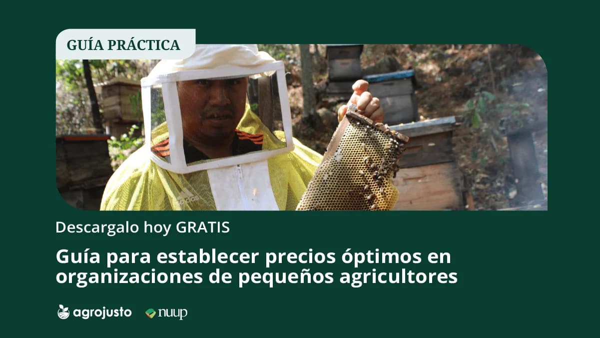Guía para establecer precios óptimos en organizaciones de pequeños agricultores