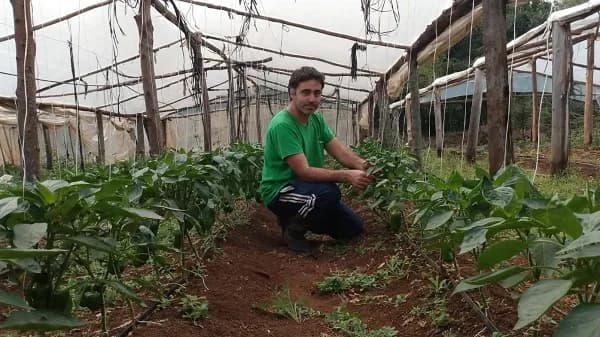 Querem transformar o mercado de alimentos com um app e já têm casos de sucesso