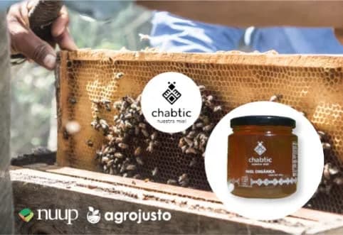 Aliança Agrojusto e Nuup