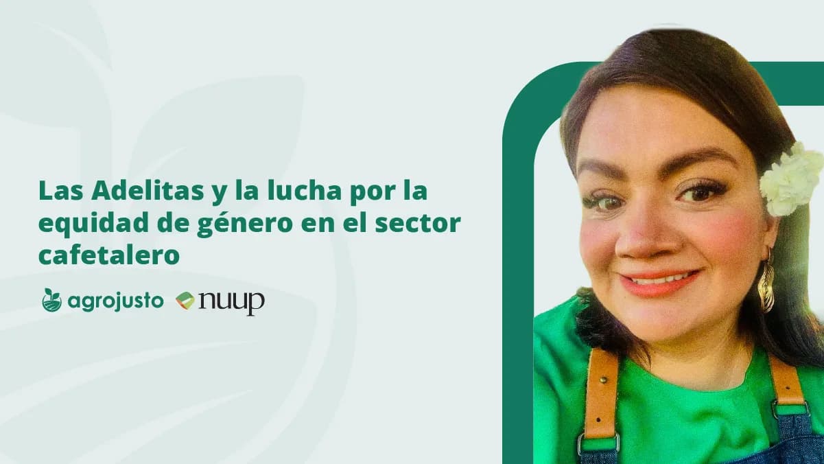 Webinar: Las Adelitas e a luta pela equidade de gênero no setor cafeeiro