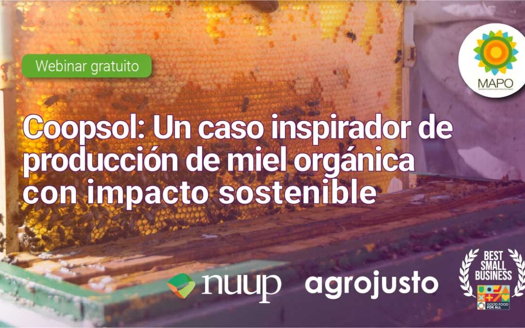 Coopsol: Un caso inspirador de producción de miel orgánica con impacto sostenible