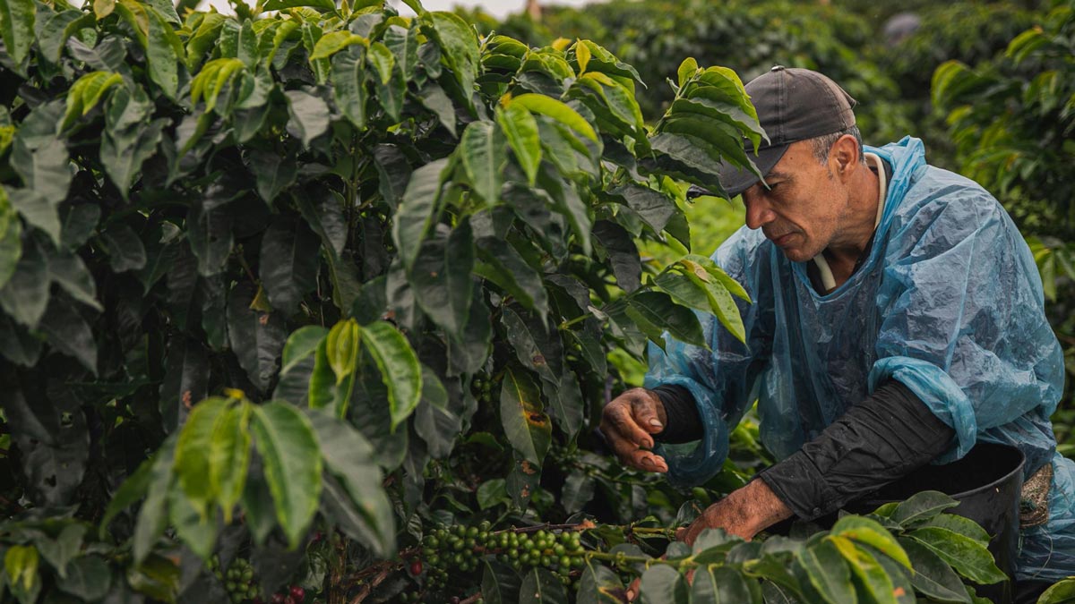 Es argentina y la ONU la distinguió por una creación con alto impacto social Agrojusto