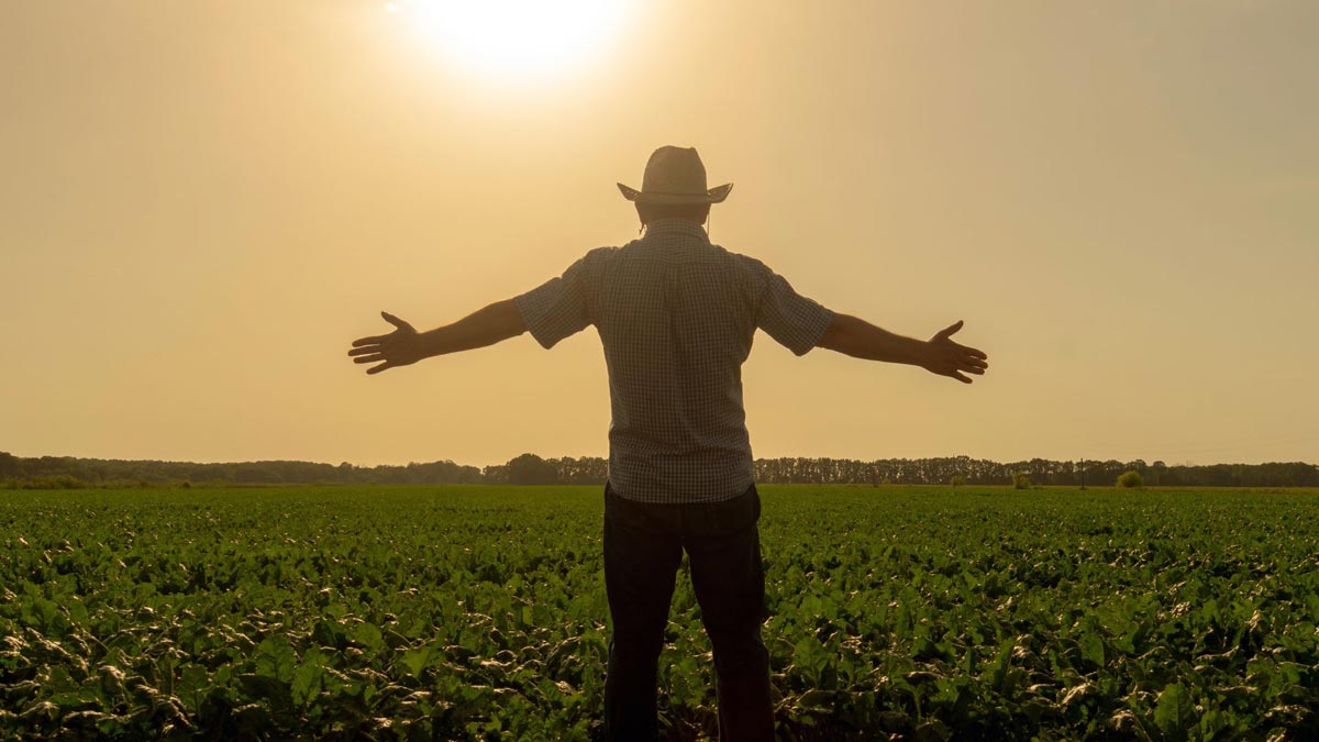 Estudió economía y creó el Uber para la venta de alimentos Agrojusto